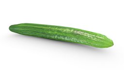 Cucumber (Game Ready / 2K PBR) tree, plant, food, fruit, baking, restaurant, bowl, chef, cook, store, ready, 2k, farm, cooking, cucumber, farming, vegetable, grocery, produce, game, pbr, low, poly