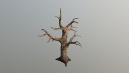 Low Poly Dead Tree 01 trees, landscape, forest, palm, tools, safe, dead, exotic, scary, vegetation, bark, old, nature, roots, fantasy, brnches