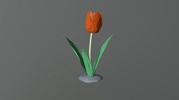 Tulip plant, flower, tulip, low-poly-model