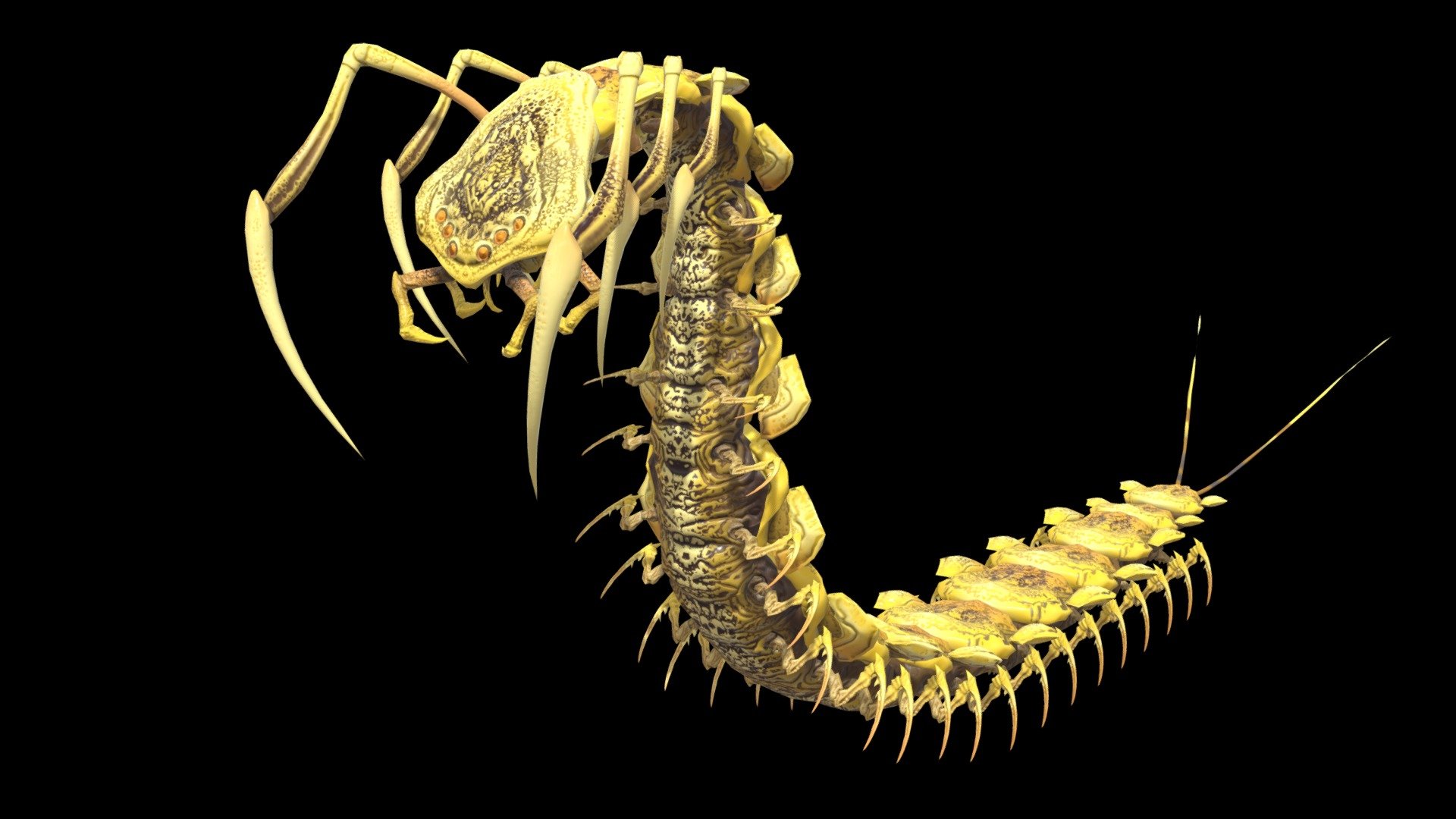 Low-poly model of the character Centipede
Suitable for games of different genre: RPG, strategy, first-person shooter, etc.
In the archive, the basic mesh
faces 40580
verts 62407 
tris 77046 - Sorokonojka - Buy Royalty Free 3D model by dremorn 3d model