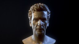 Doctor Capaldi portrait, famous-people, bust