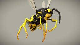 Wasp insect, flying, b3d, wings, wasp, yellow, vespula, insecte, arthropod, hymenoptera, flying_cycle, guepe, germanica, low_poly, blender, lowpoly, blender3d, creature, animation, animated, noai