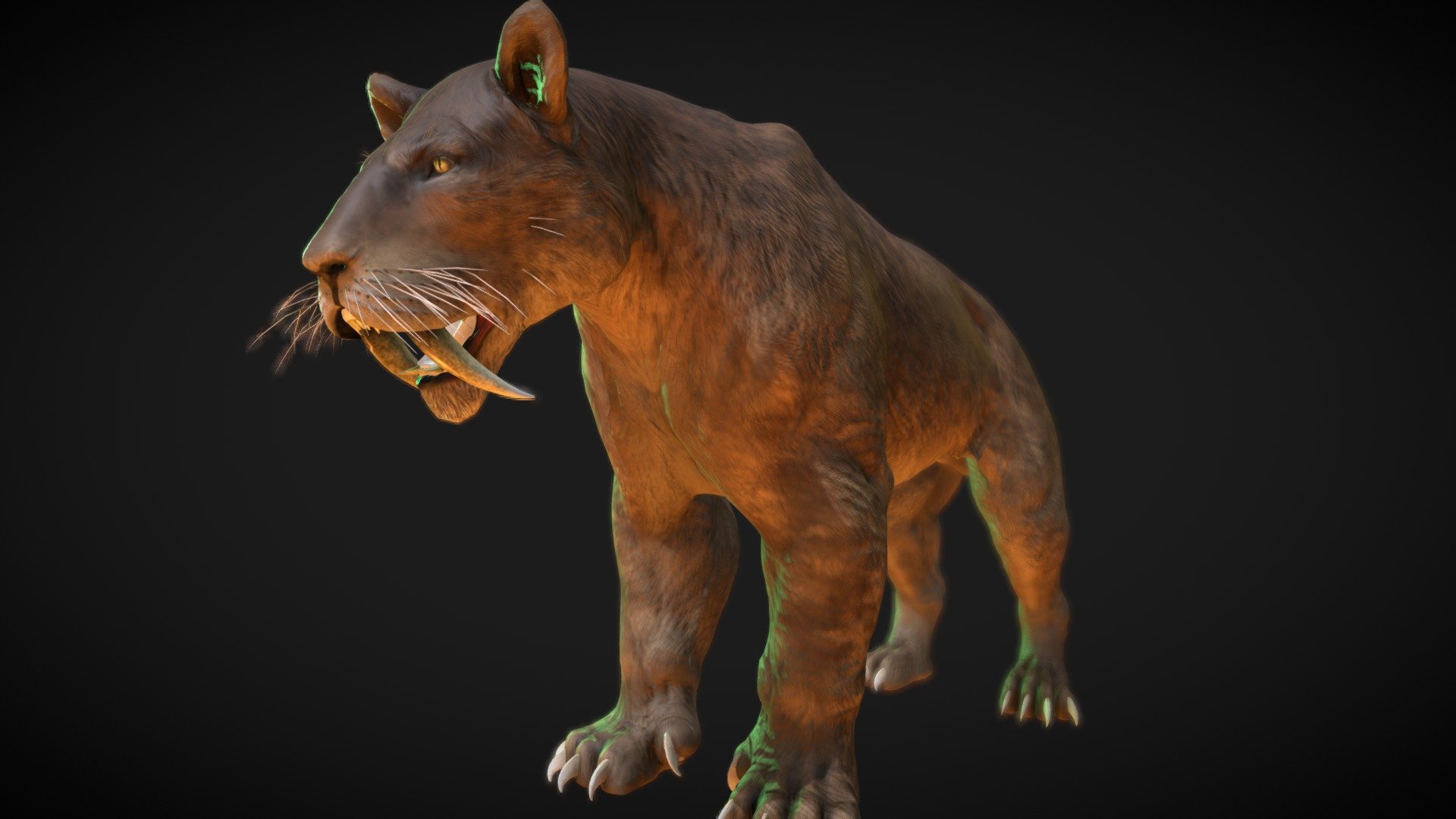 Smilodon, commonly known as the saber-toothed cat, was a remarkable and iconic predator that lived during the Pleistocene epoch. These large cats were characterized by their long, curved canine teeth, which were adapted for stabbing and slashing rather than simply biting.

There are several species of Smilodon, with Smilodon fatalis being one of the most well-known. These saber-toothed cats were formidable predators, likely preying on large herbivores such as bison and camels. The length of their canines indicates a specialized hunting strategy, using their impressive teeth to deliver powerful and precise bites to the necks of their prey.

Explore the Pleistocene landscapes with Smilodon, an apex predator that left an indelible mark on the prehistoric world. Uncover the mysteries of these saber-toothed cats with - Smilodon - Buy Royalty Free 3D model by robertfabiani 3d model