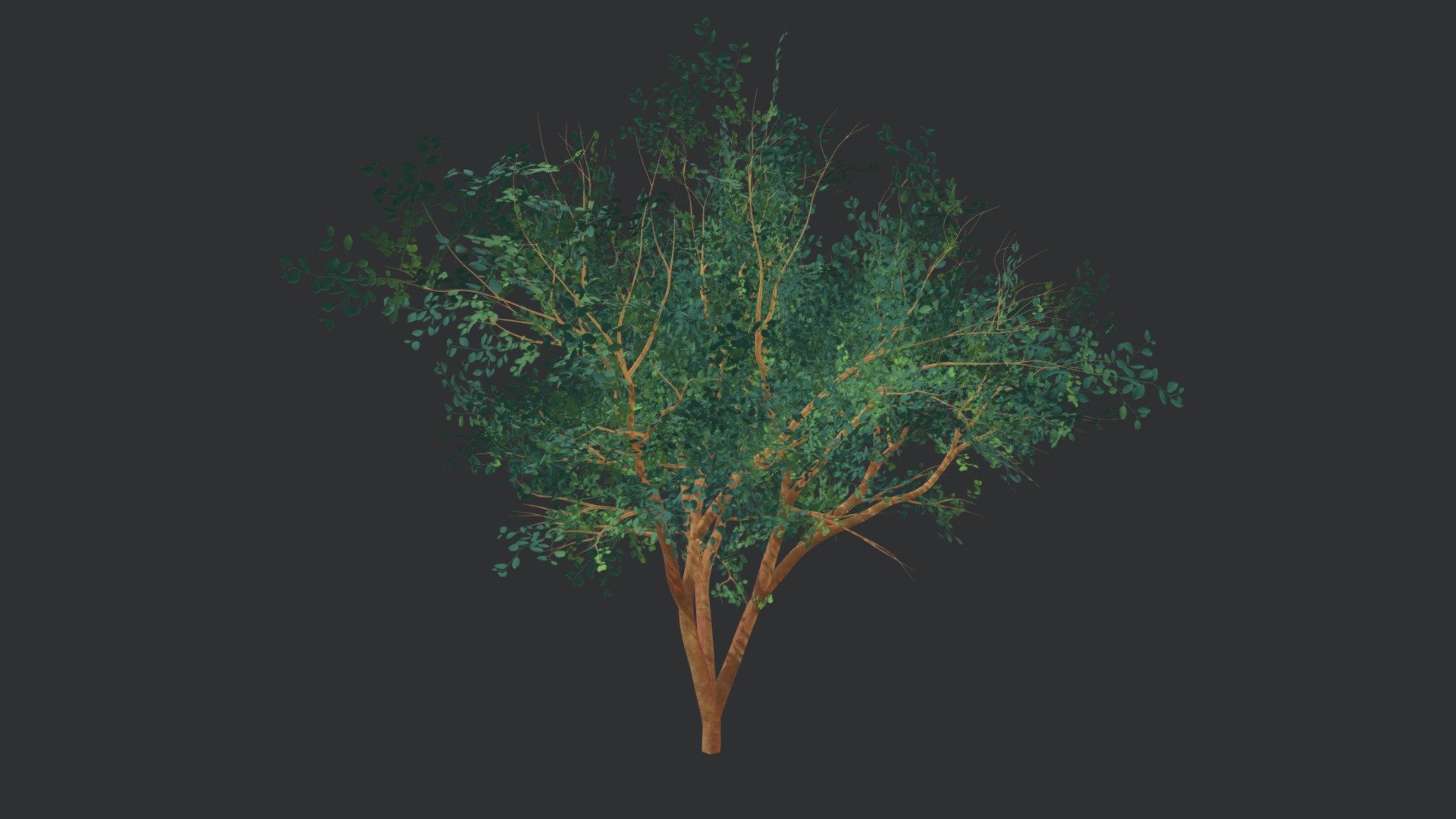 A tree with green leaves 3d model