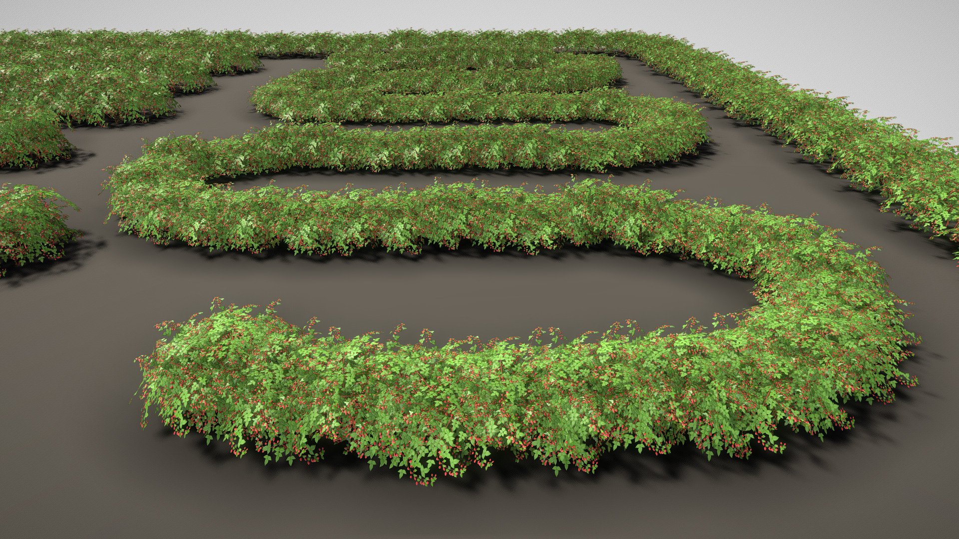 Raspberry Bush / Hedge (Test).

3D modelled and textured by 3DHaupt in Blender 3.5 3d model