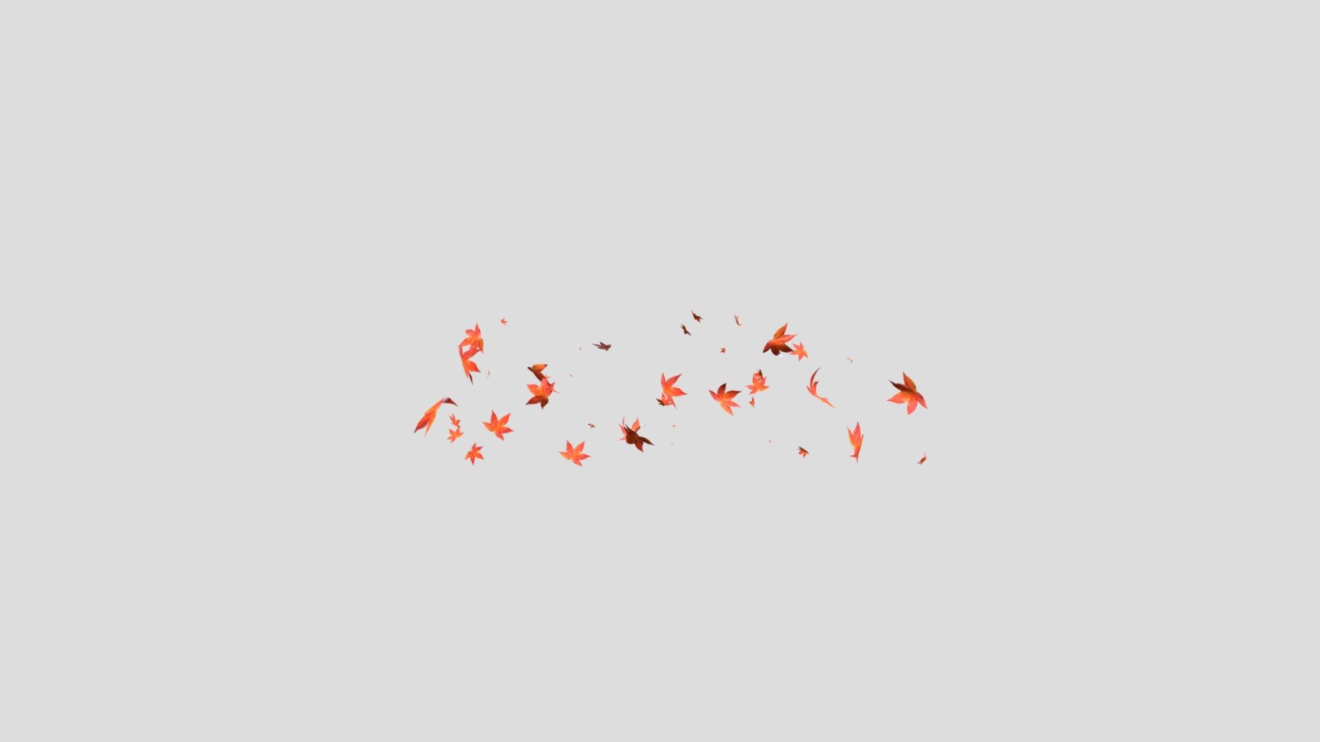 Flying leaves animation made with cinema 4d - Flying autumn leaves - Buy Royalty Free 3D model by Nati Gonzalez (@NAG5) 3d model