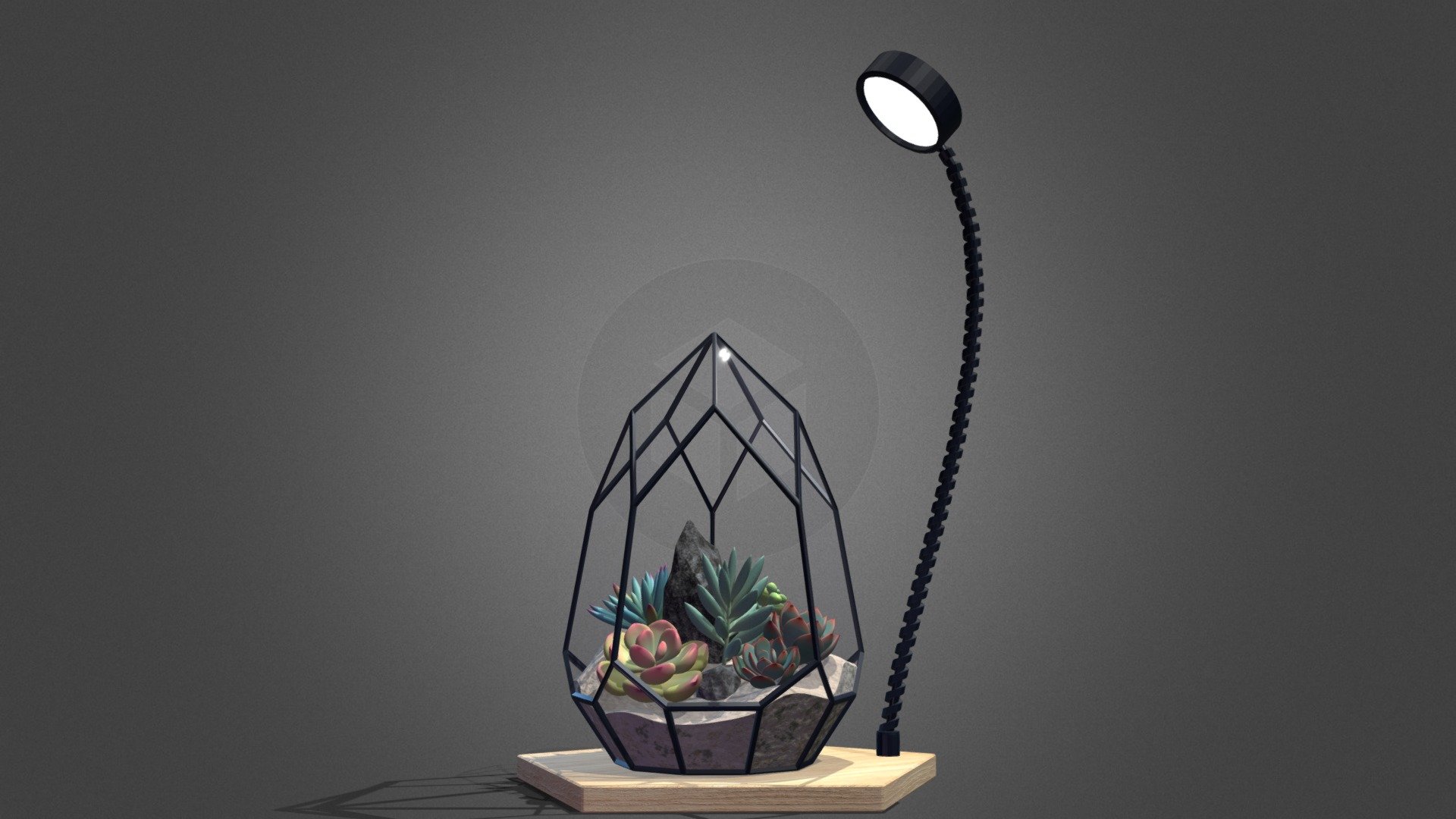 Detailed model of a glass florarium with 5 types of succulents inside:
pink echeveria, silver senecio, blue echeveria, sedum and violet senecio.

Trendy geometric florarium with a backlight lamp will attract attention and decorate any windowsill, desktop or shelf.
Bright and recognizable plants inside the florarium will add realism to you game or 3D project)

Model consists of 105k triangles, uses detailed 1024*1024px textures and ready to use in formats blend and fbx.

If you want more succulents - look at my models https://sketchfab.com/tochechka/models 3d model