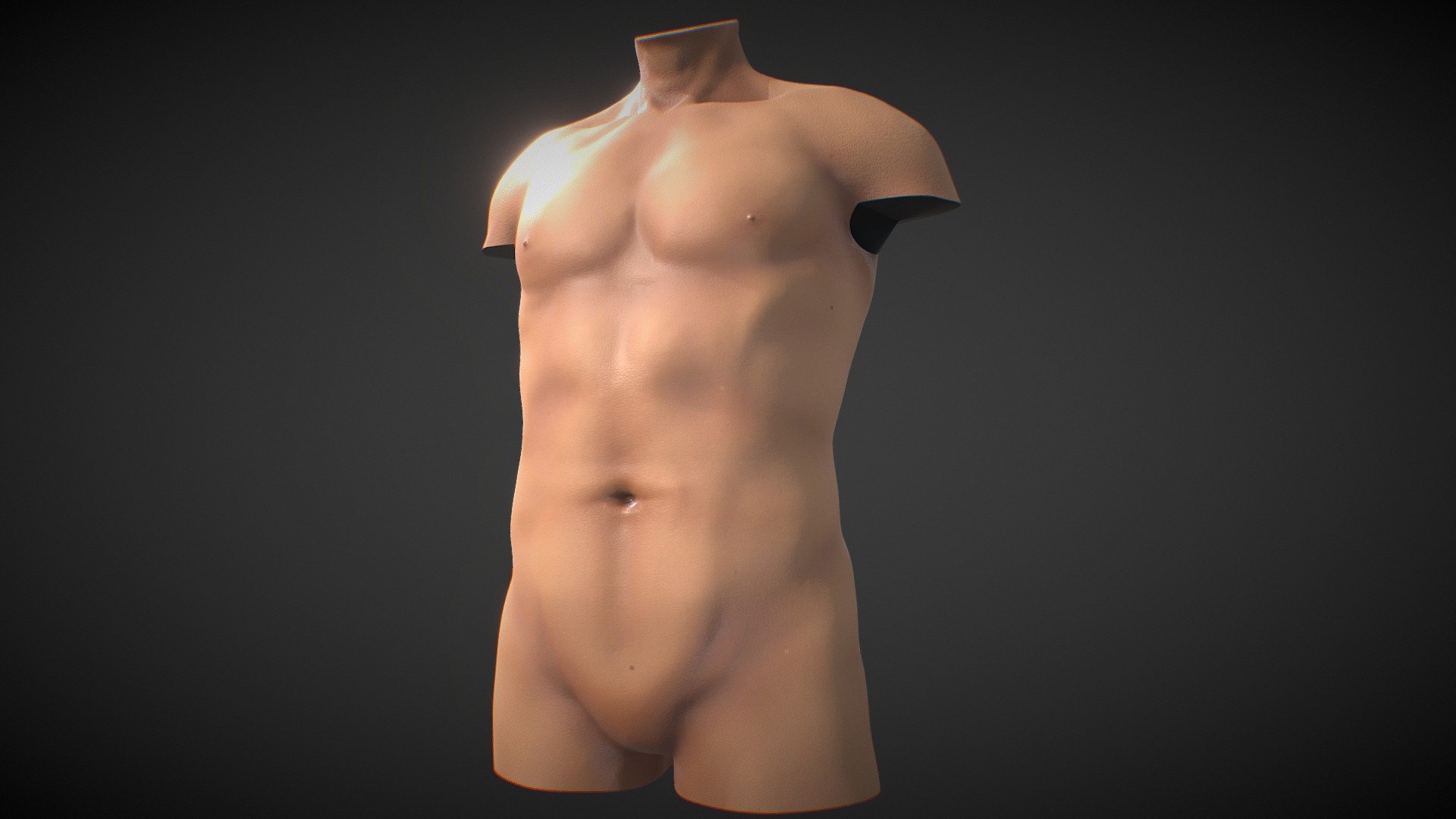 Full Male Body parts pack  is available here - https://skfb.ly/oAoRL

Female version - https://skfb.ly/o8XZR

A Fit male Anatomical Torso with Basic Textures.
Perfect for simulatiung tattoos and use in Procreate 3D

For Procreate Make sure to download and use the USDZ file if you want to automatically load the model with color texture, otherwise use the OBJ - Fit Male Anatomy - Torso base mesh - Buy Royalty Free 3D model by Deftroy 3d model