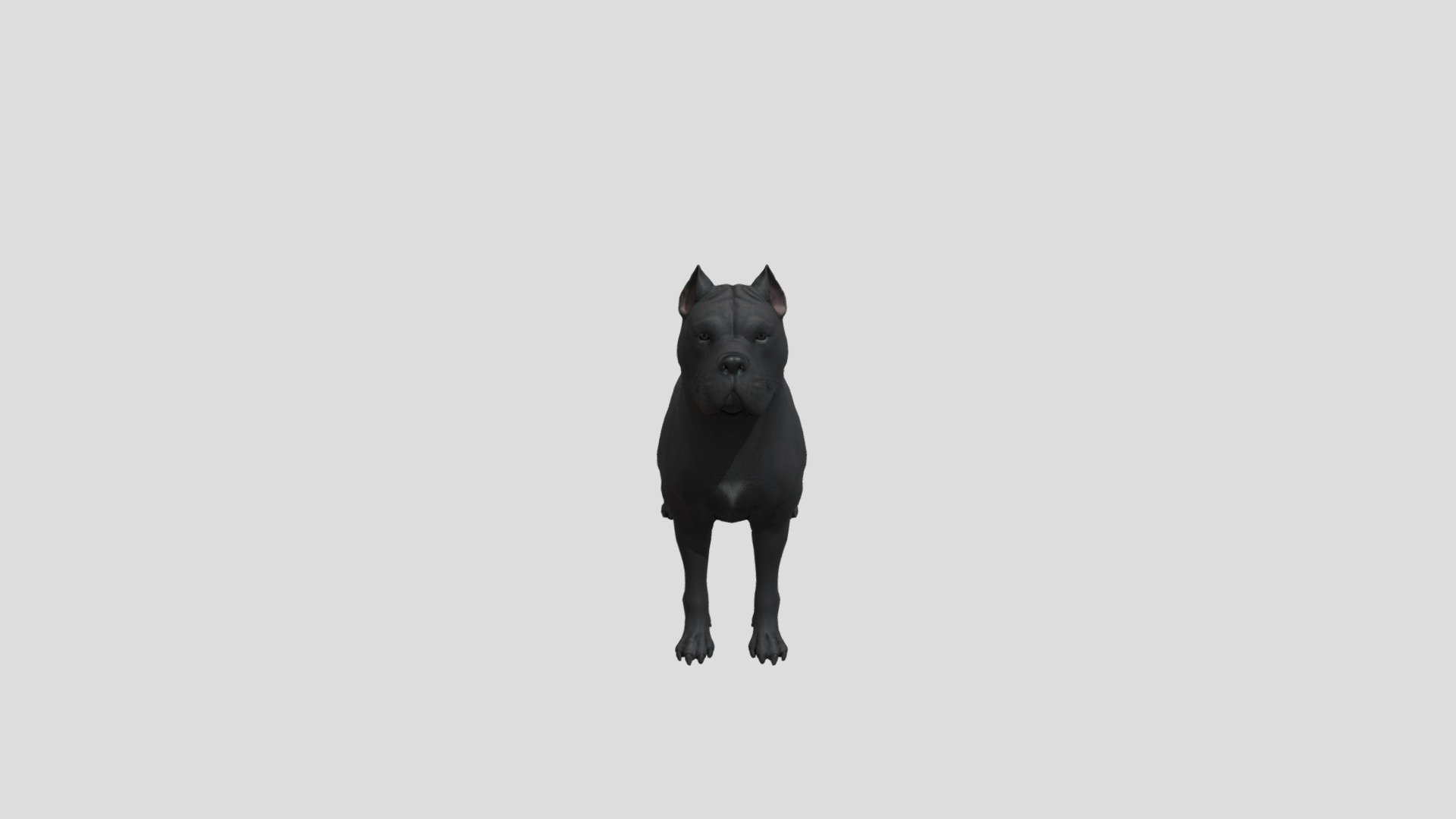 Dog Cane corso realistic animal animated - Dog Cane corso - Buy Royalty Free 3D model by Phil3D (@philosophie) 3d model