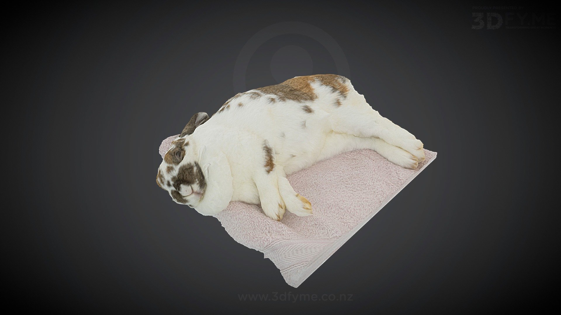 Yesterday our beloved bunny Ginger decided she's brought enough joy, companionship and love to our family and peacefully dozed off. We'll be forever grateful and miss her a lot :)  RIP 3d model