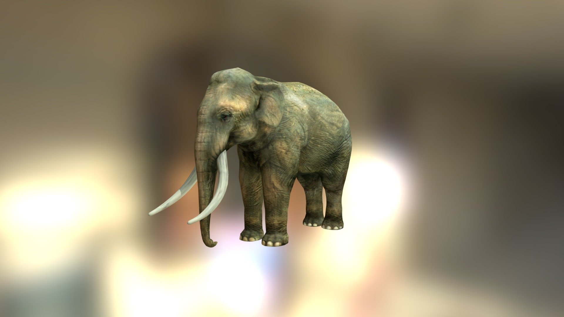 Low poly elephant 3d model