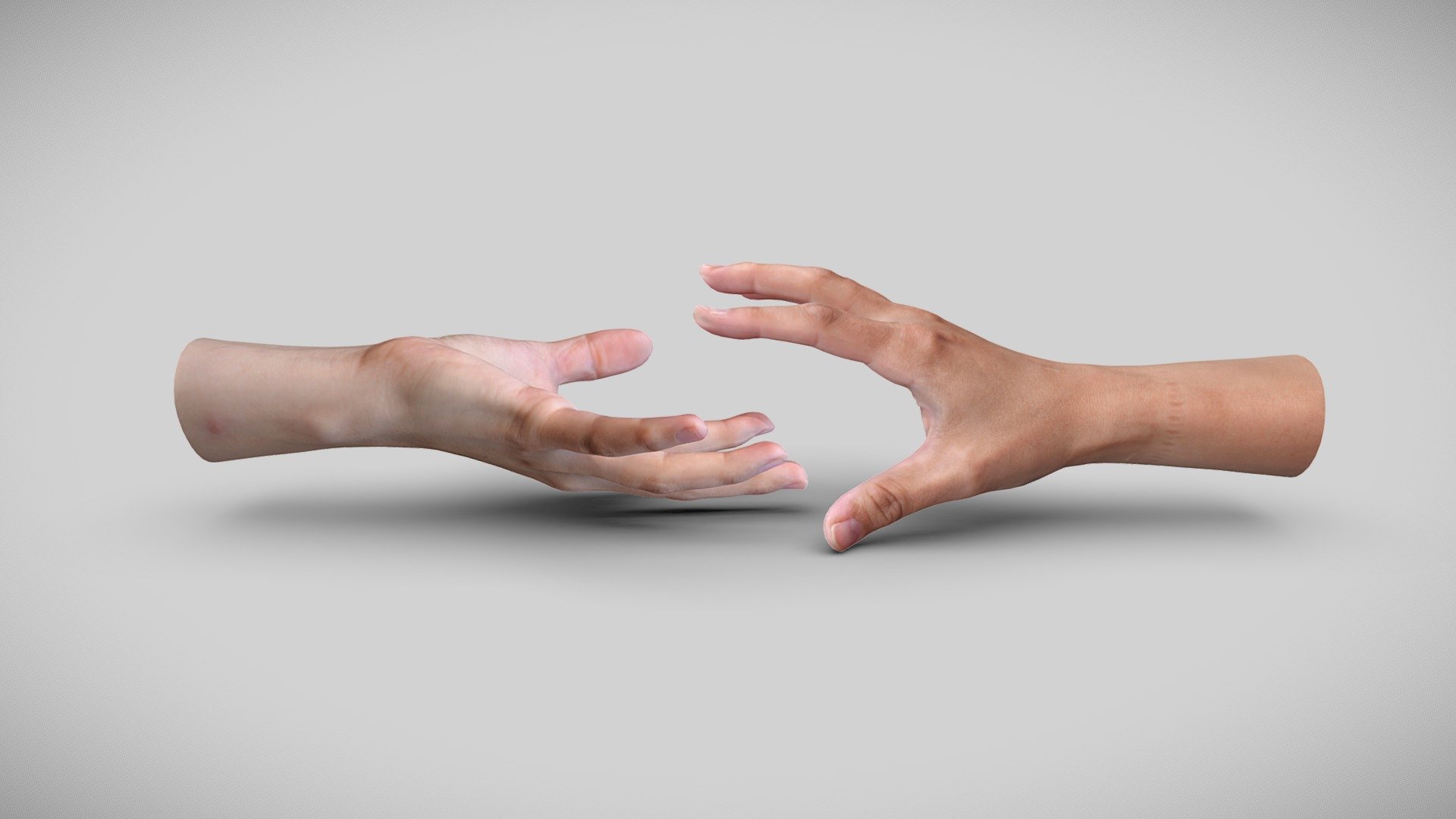 Two individually scanned 41 years old female hands.

Model includes 8k diffuse map, 4k normal map, 4k Ambient occlusion map and 4k subsurface map.

Processed with Metashape + Blender + Wrap3 - Female Hands - Buy Royalty Free 3D model by Lassi Kaukonen (@thesidekick) 3d model