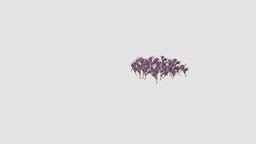 Crocus vernus 3dmodels, plants, flowers, bushes, 016, crocus, am86, vernus