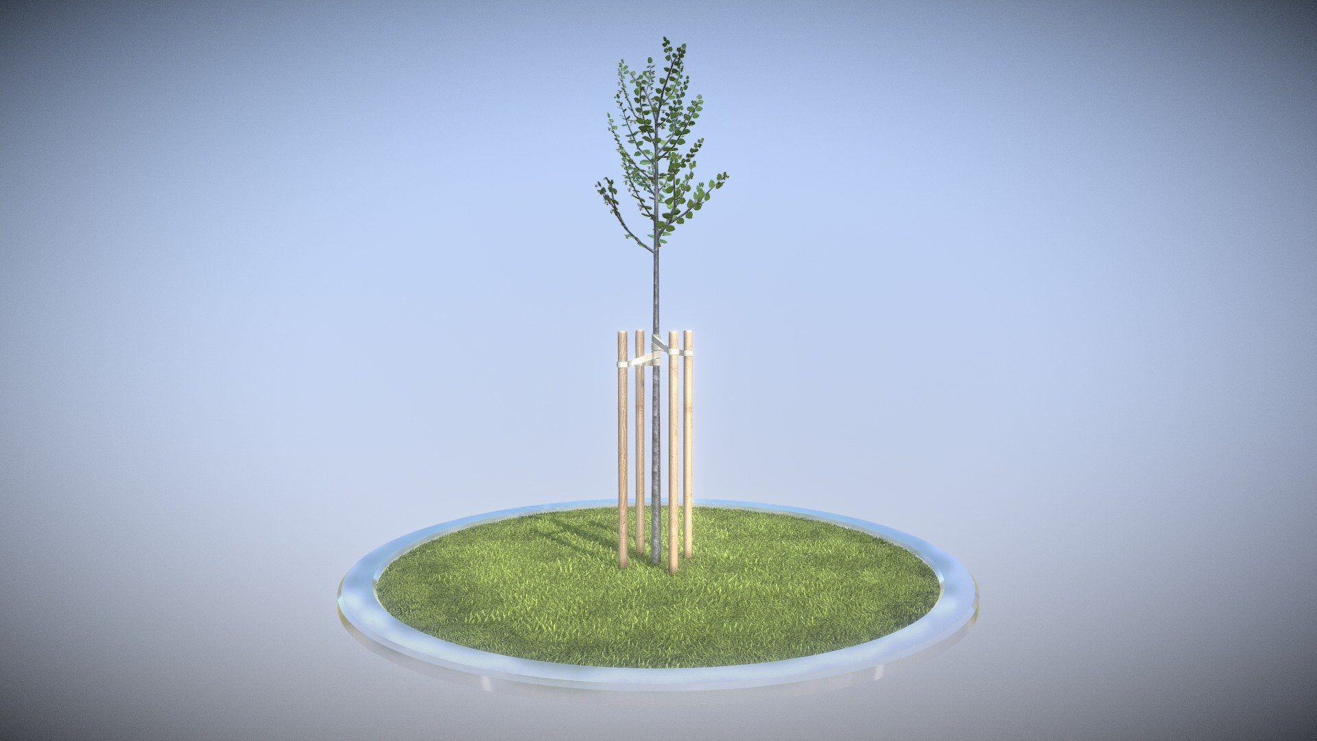 Here is a small tilia city tree.

2 meters high in spring season.

 - Tilia Tree 2 Meters in Spring Season - Buy Royalty Free 3D model by VIS-All-3D (@VIS-All) 3d model