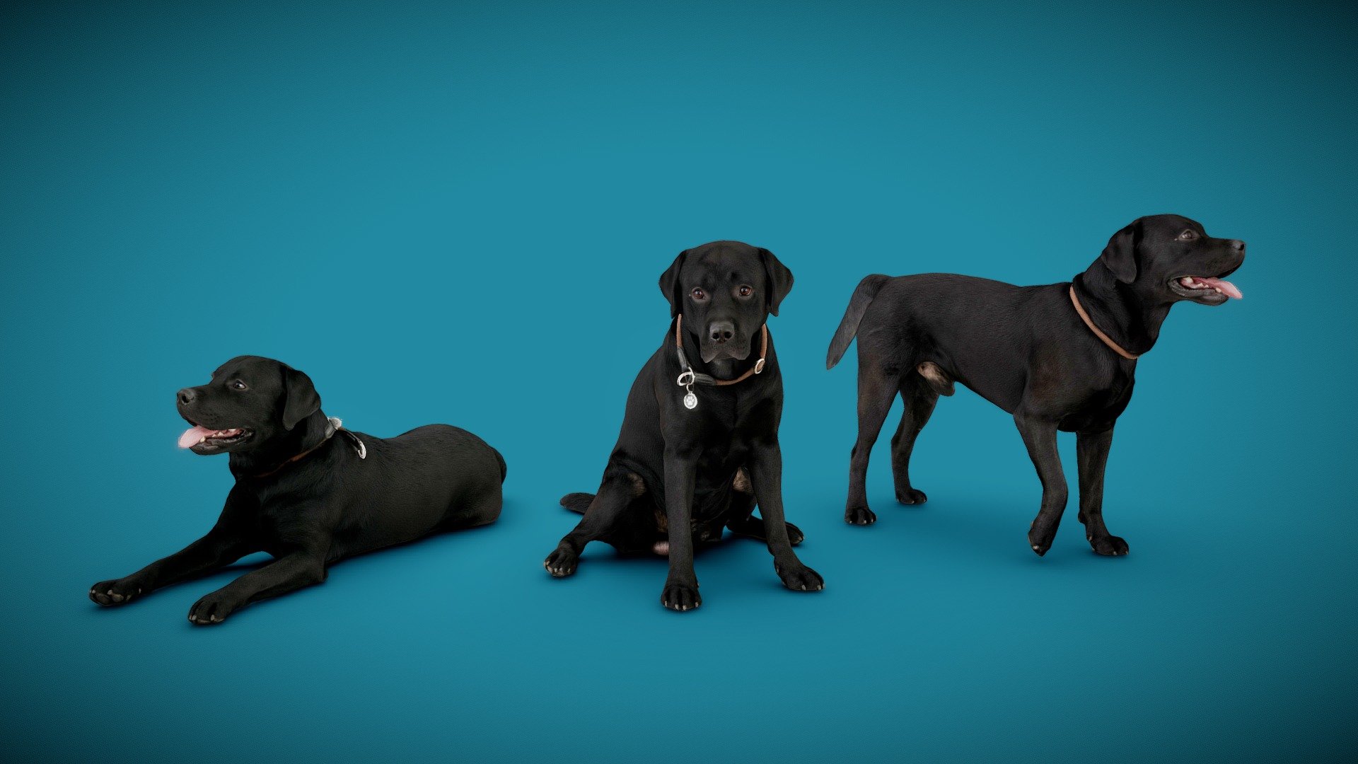 3d-dog-scans using photogrammetry technique; simplified polycount




three models à 20-50K triangles

4K DiffuseColorTextures

real scale

watertight

3d-ScanService: https://www.optimission.de - DOGs Three Pack A - 1of2 - Buy Royalty Free 3D model by Frank.Zwick (@Frank_Zwick) 3d model
