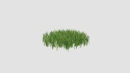 simple grass medium plant, grass, key, medium, 104, am124, simple