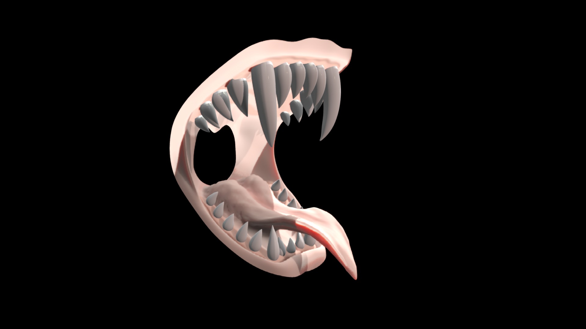 A study of anatomy  and interface between teeth jaw and tongue - Fangs - 3D model by headmasterz 3d model