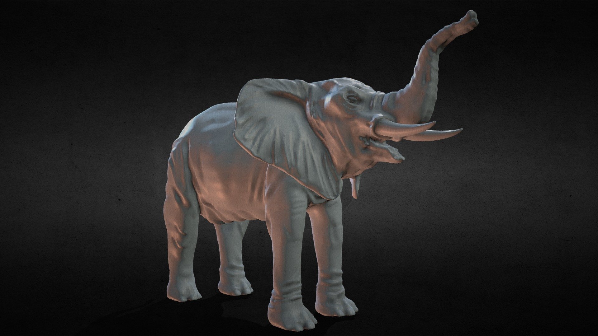3d sculpt of an elephant made in blender - elephant - 3D model by gleisonfreitas290 3d model