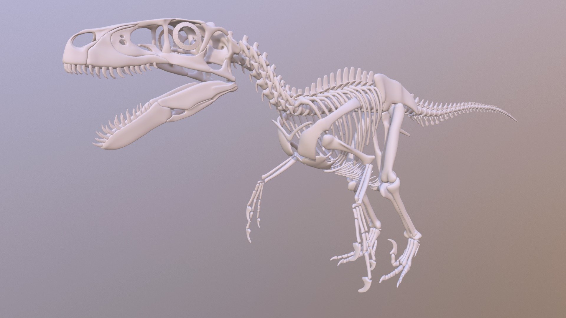 Based on Scott Hartman's work and https://www.gofundme.com/utahraptor - Utahraptor Skeleton - Download Free 3D model by MithosKuu (@lordmithos) 3d model