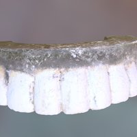 GWs False Teeth, Top Half (VCU_3D_2133) teeth, slavery, african-american, slavery-project, george-washington, dentures, archaeology