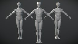 Male Base Mesh body, anatomy, basemesh, realisticmodel, basemesh-male, human, male
