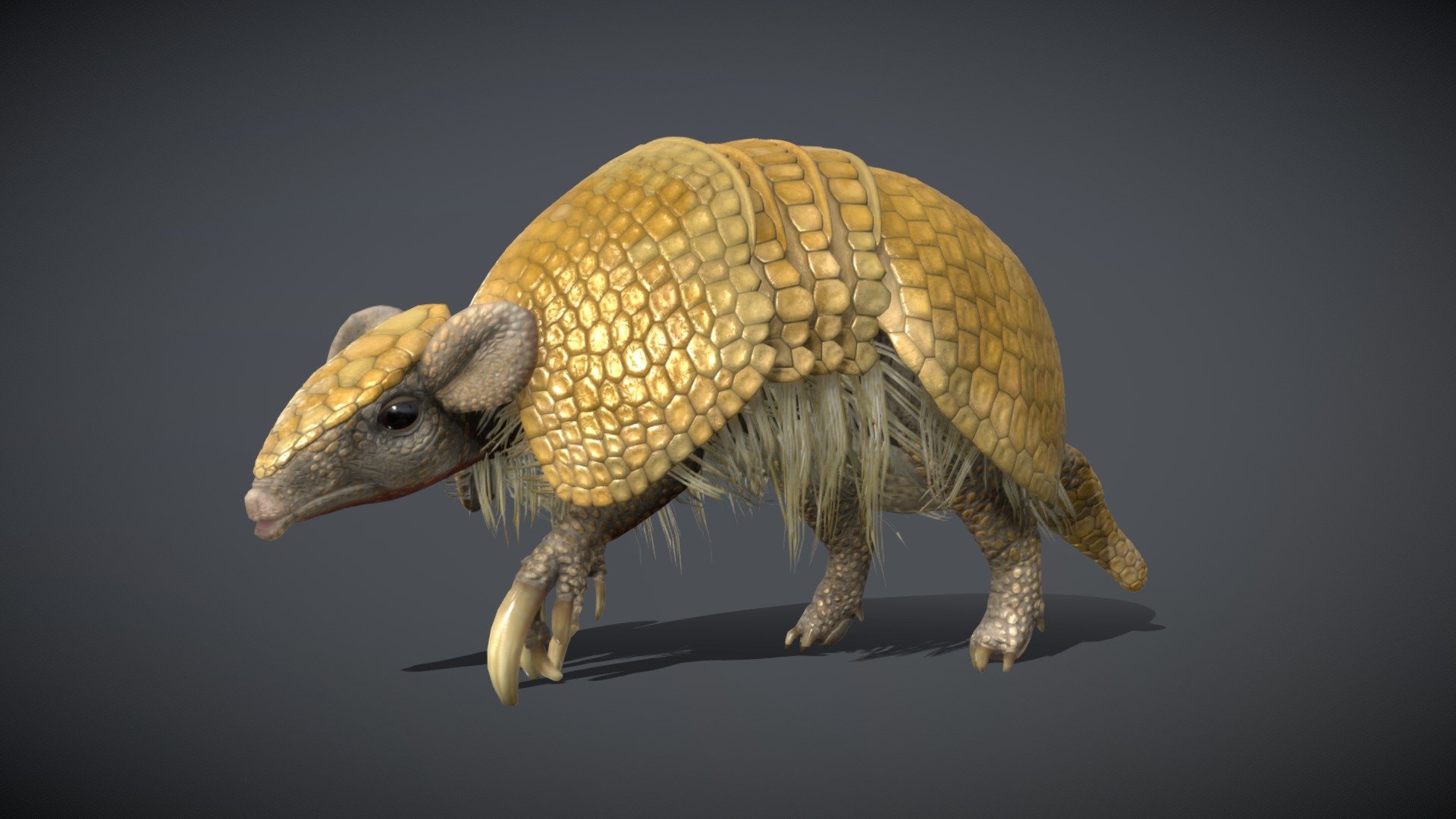 Before purchasing this model, you can download Guppy and try to import it.
Because for different software, rigging and animation may have different problems.

Additional file: https://sketchfab.com/3d-models/three-banded-armadillo-joy-360cd13bbd5441e68ad3cc7de54843bb - Three-Banded Armadillo - Buy Royalty Free 3D model by NestaEric 3d model