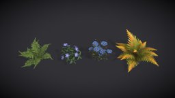 Museum Of Natural History | Museum Plants plants, garden, flowers, vr, fern, nature, periwinkle, daisyflower