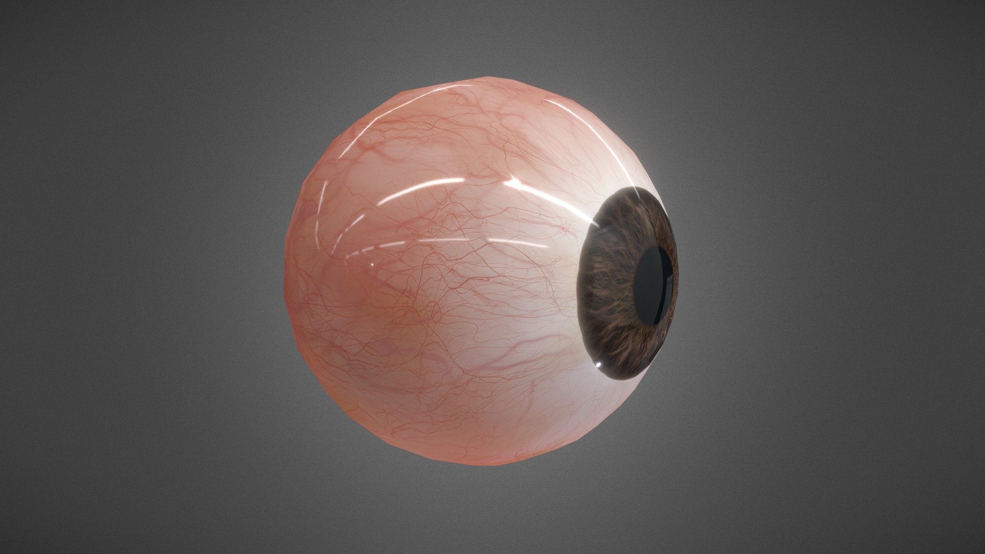 CG StudioX Present :
Realistic Human Eye




This is Realistic Human Eye with Specular and Metalness PBR.

The photo been rendered using Marmoset Toolbag 3 (real time game engine )


Features :



Comes with Specular and Metalness PBR 4K texture .

Can be easily downgrade the texture from 4K to your desired resolution.

Good topology

Low polygon geometry.

The Model is prefect for game for both Specular workflow as in Unity and Metalness as in Unreal engine .

The model also rendered using Marmoset Toolbag 3 with both Specular and Metalness PBR and also included in the product with the full texture.

The product has ID map in every part for changing any part in the model .

All photo in the presentation images for the low poly (no dividing applied).

The texture can be easily adjustable .


Texture :
ALL Texture [Albedo -Normal-Metalness -Roughness-Gloss-Specular-ID-AO] (4096*4096).


Files :
Marmoset Toolbag 3 ,Maya,FBX, OBj with all the textures.




Contact me for any questions.
 - Realistic Human Eye - Buy Royalty Free 3D model by CG StudioX (@CG_StudioX) 3d model