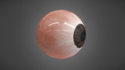 Realistic Human Eye eye, anatomy, people, realtime, eyeball, organs, retina, vision, iris, pupil, nervous, cornea, sclera, character, pbr, free, human, blue-eye, brown-eye, green-eyes