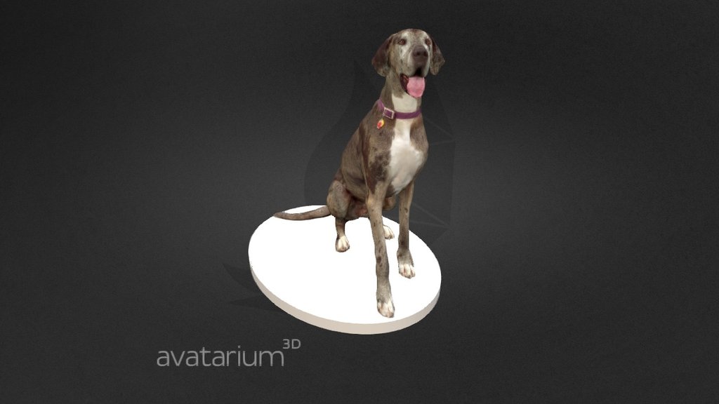 Great Dane Dog Sitting - 3D model by Avatarium 3D (@avatarium3d) 3d model