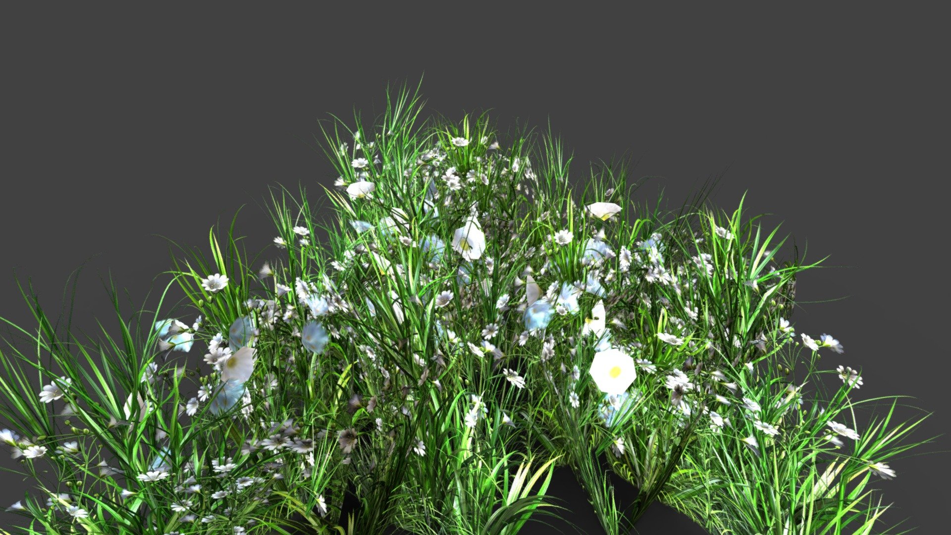 My grass is the third series, in ultra HD quality. Please do not forget to rate the work, and you will make one person on earth happier in advance thank you and have a happy day)!!! - Grass V3 - Download Free 3D model by sam (@serpent) 3d model