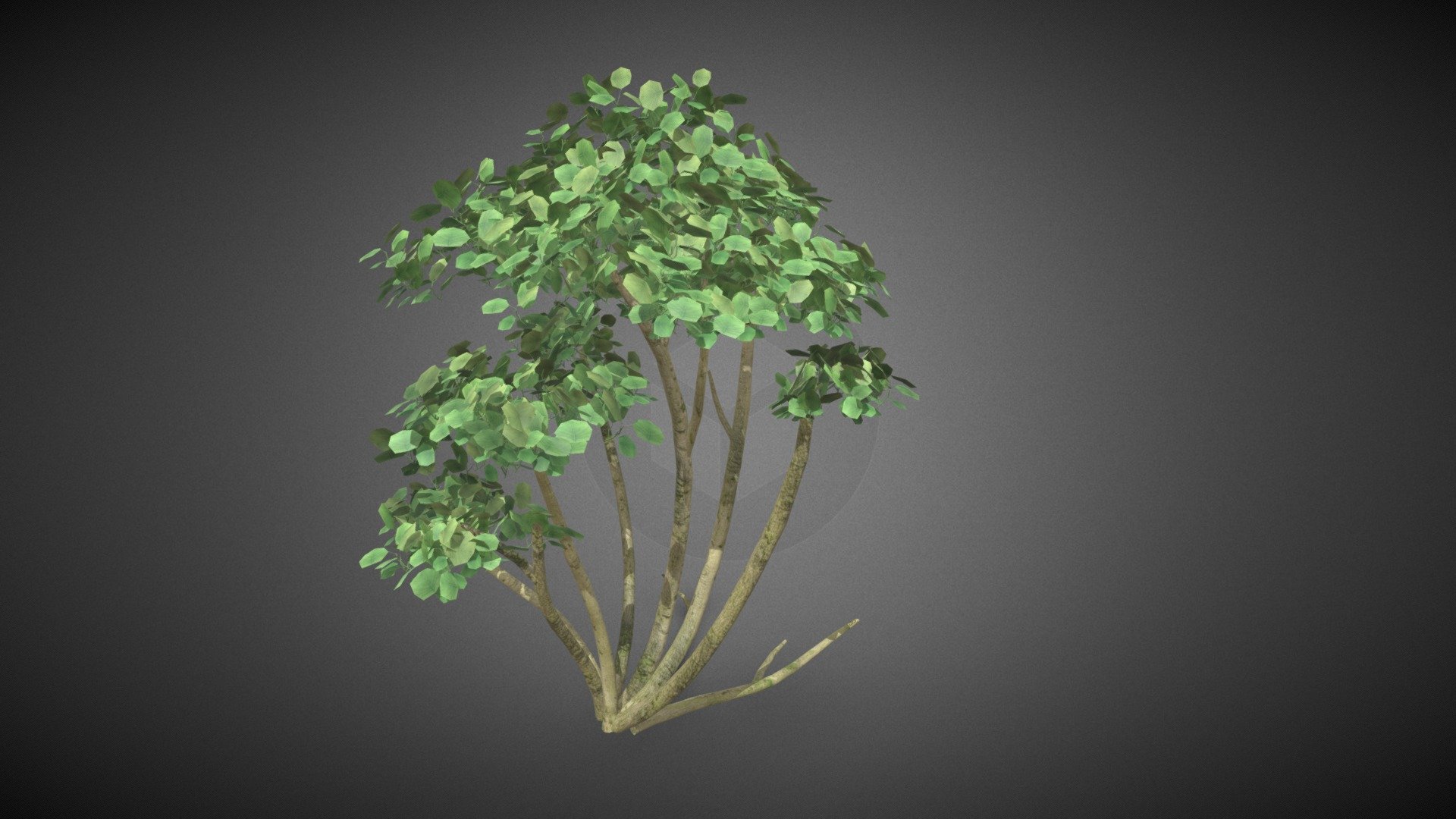 Tree - Tree shrub - Buy Royalty Free 3D model by misitewang 3d model