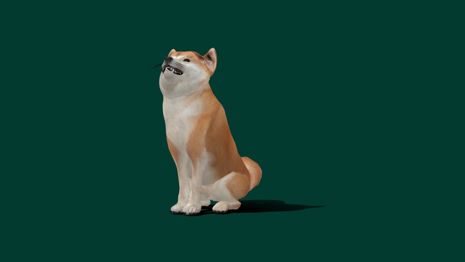 Playful dog model from microsoft app 3D model origin
i just update with different textures set PBR all set .

The Shiba Inu is a breed of hunting dog from Japan. A small-to-medium breed, it is the smallest of the six original and distinct spitz breeds of dog native to Japan. Its name literally translates to &ldquo;brushwood dog
