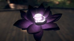 Black Lotus flora, flower, lotus, floral, mtg, stylized, magic