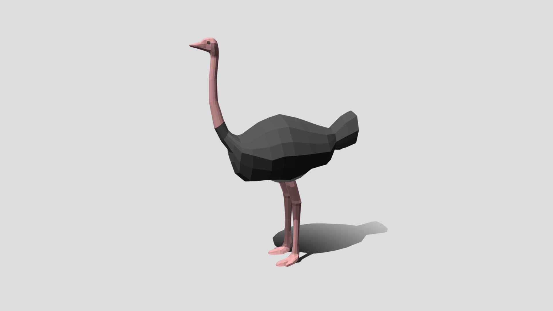 This is a low poly 3D model of an Ostrich. The low poly Ostrich was modeled and prepared for low-poly style renderings, background, general CG visualization presented as a mesh with quads only.

Verts : 966 Faces: 964

The 3D model have simple materials with diffuse colors.

No ring, maps and no UVW mapping is available.

The original file was created in blender. You will receive a 3DS, OBJ, FBX, blend, DAE, Stl.

All preview images were rendered with Blender Cycles. Product is ready to render out-of-the-box. Please note that the lights, cameras, and background is only included in the .blend file. The model is clean and alone in the other provided files, centred at origin and has real-world scale 3d model
