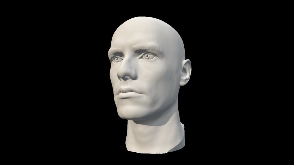 This is a reference model for learning a human form. Best for using in combination with a new Head &amp; Neck Anatomy book. 

More about teaching methodology please go to at www.anatomynext.com or contact us at support@anatomynext.com - Caucasian adult male head scan - 3D model by Anatomy Next (@a4s) 3d model