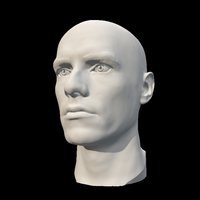 Caucasian  male head scan portrait, head, anatomy4sculptors, zbrush-sculpt, anatomy-reference, anatomy-next, male-head