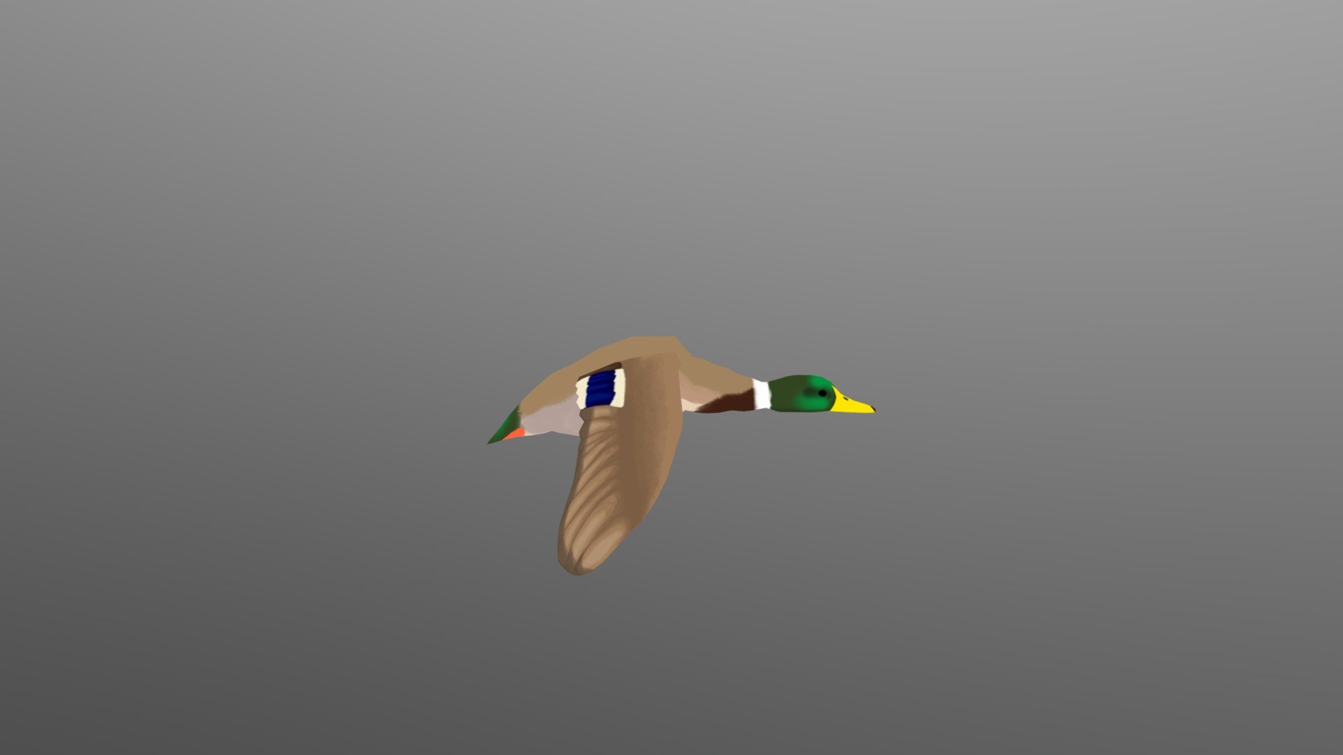 This is from a school assignment from a few years back. 

Friendly little duck flying :) - Mallard Duck - 3D model by Bunslake 3d model