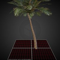 Palm_Tree tree, vegetation, palmtree, 3dsmax, 3dsmaxpublisher