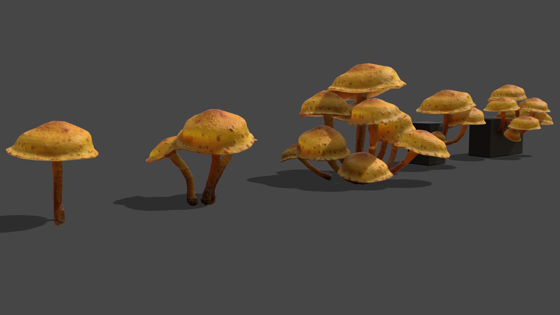 Mushroom 12


Contains 5 Variations of the same mesh


One mushrooms:

Triangles 800‬/ Vertices 402

2k sized texture (base color, roughness, normal map, translucent, subsurface)

Quad topology (easily subdivided)




Contains the raw scans in the additional file (obj format)



Also available in this pack



Made with Metashape, Blender, Materialize and Subtance painter



If you have any questions, contact me here:

zacxophone3d@gmail.com




Blender cycles render example:


 - Mushroom_12 - Buy Royalty Free 3D model by Zacxophone 3d model