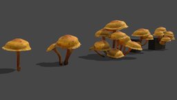 Mushroom_12