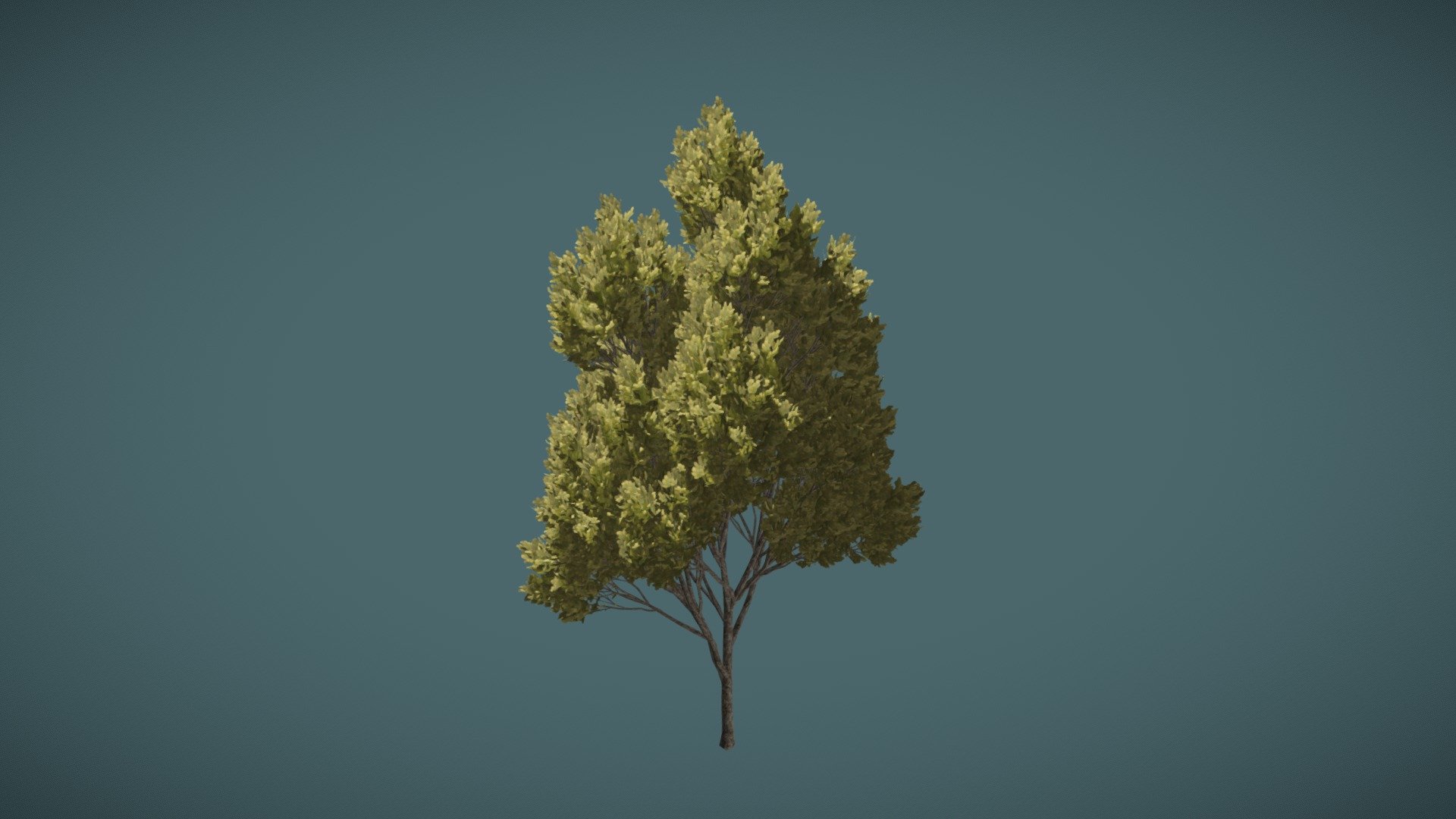 Low model but nice result.

         width=150" height="70"&gt; - Urban Tree - Download Free 3D model by gelmi.com.br (@rodrigogelmi) 3d model