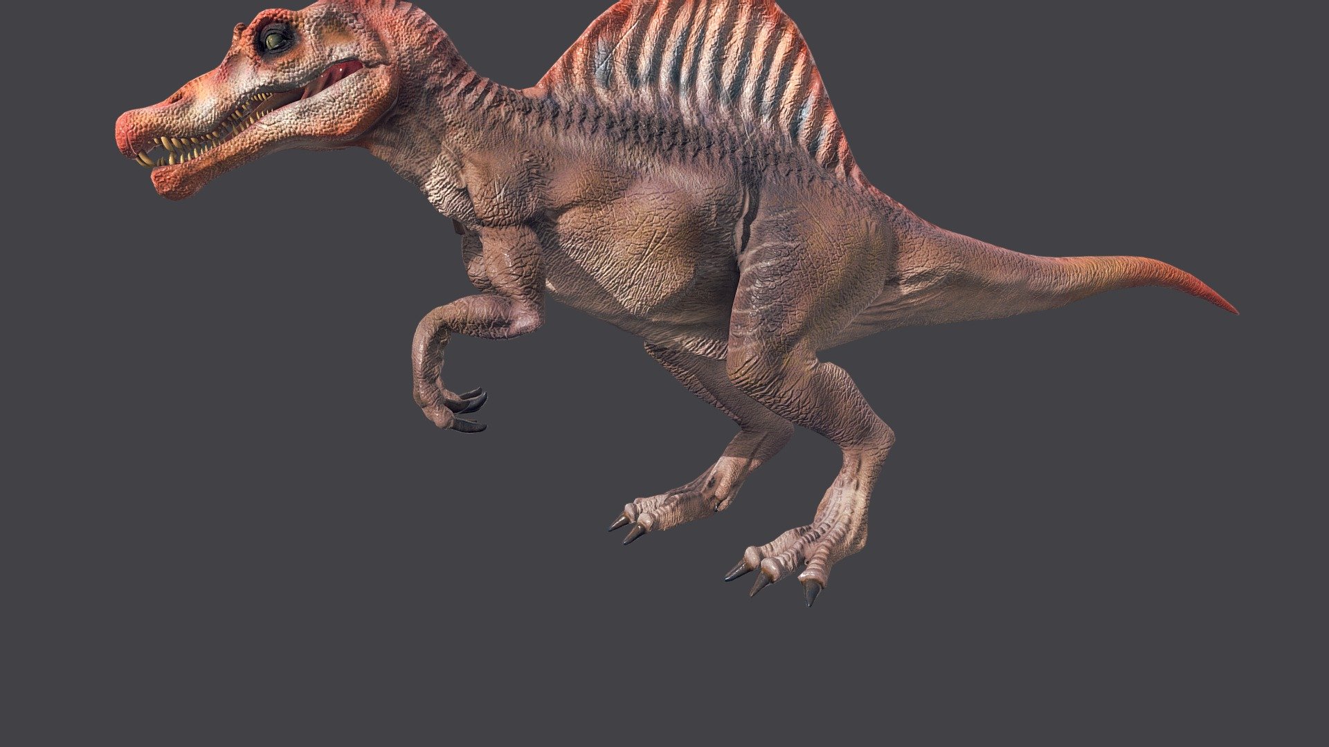 Spinosaurus Roar - 3D model by kennethcplace 3d model