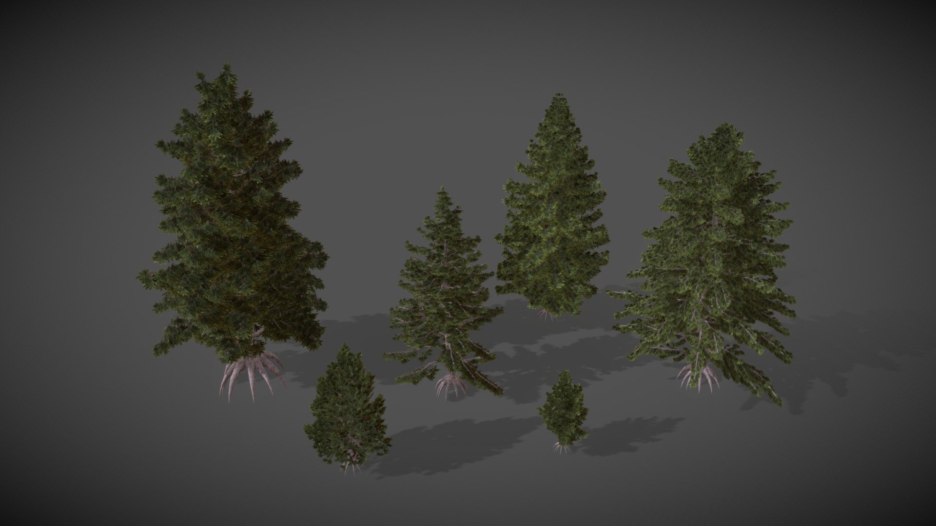 This XfrogPlants Eastern Hemlock 3D model collection contains six highly detailed, fully textured variations of the plant at different ages.

Tree, evergreen conifer
Origin: East of North America
Environment: hills or mountain woods, in partial shade
Climate: temperate, cool

Notes:
The Eastern Hemlock (Pennsylvania State tree) grows well almost everywhere, except on calcareous soil. It is intolerant of direct sunlight. Widely diffused outside of it’s native areas as ornamental tree, the Eastern Hemlock is also cultivated for the wood, used for both paper production and as building material 3d model