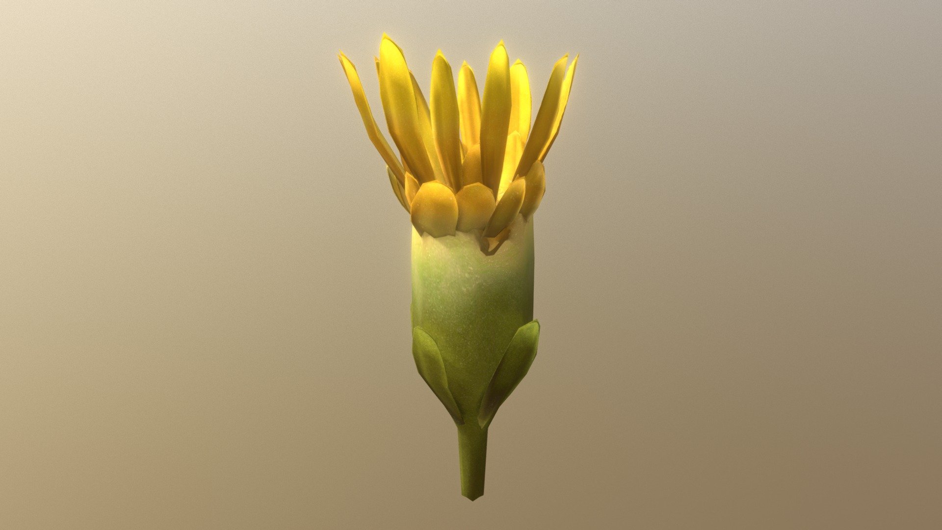 Blender and Sbstace Painter - Goldenrod Blossom - Buy Royalty Free 3D model by Anežka Hájková (@anezka) 3d model