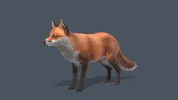 Fox red, forest, cute, wild, fox, foxes, foxy, noai