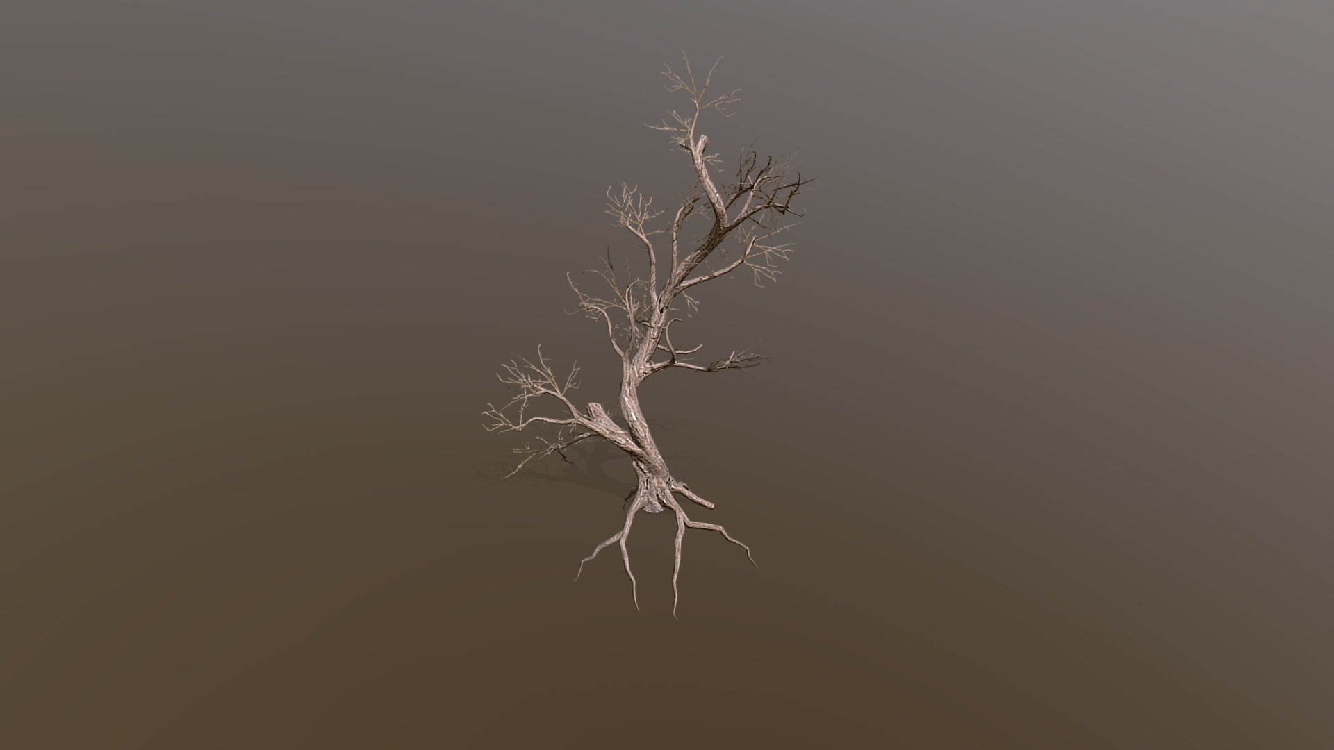 Old/dead tree created in tree it 3d model