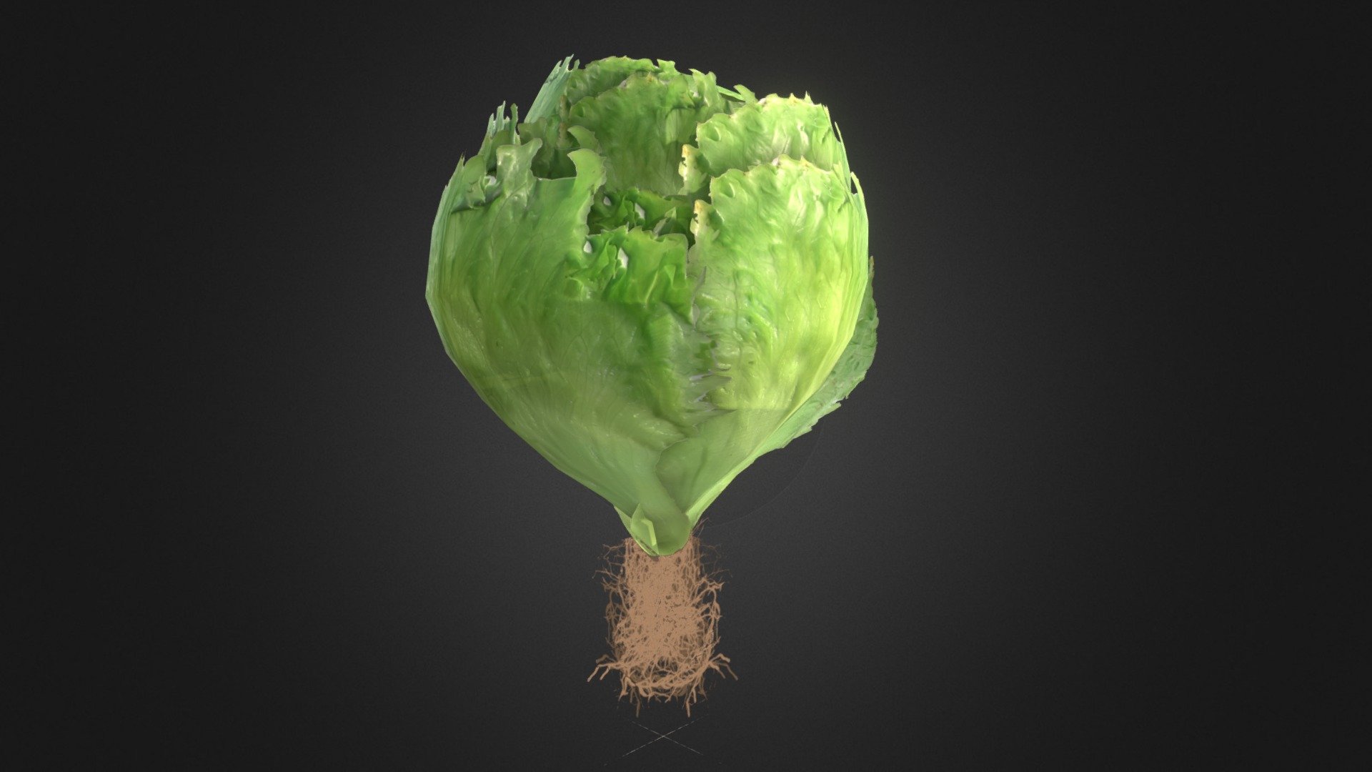 Hello. Low poly lettuce with roots.

You can find lettuce leaf texture for free donwload here:
https://pbrbase.com/proizvod/lettuce-leaf/ - Low poly lettuce with roots - Buy Royalty Free 3D model by nikola (@nugarkovic) 3d model