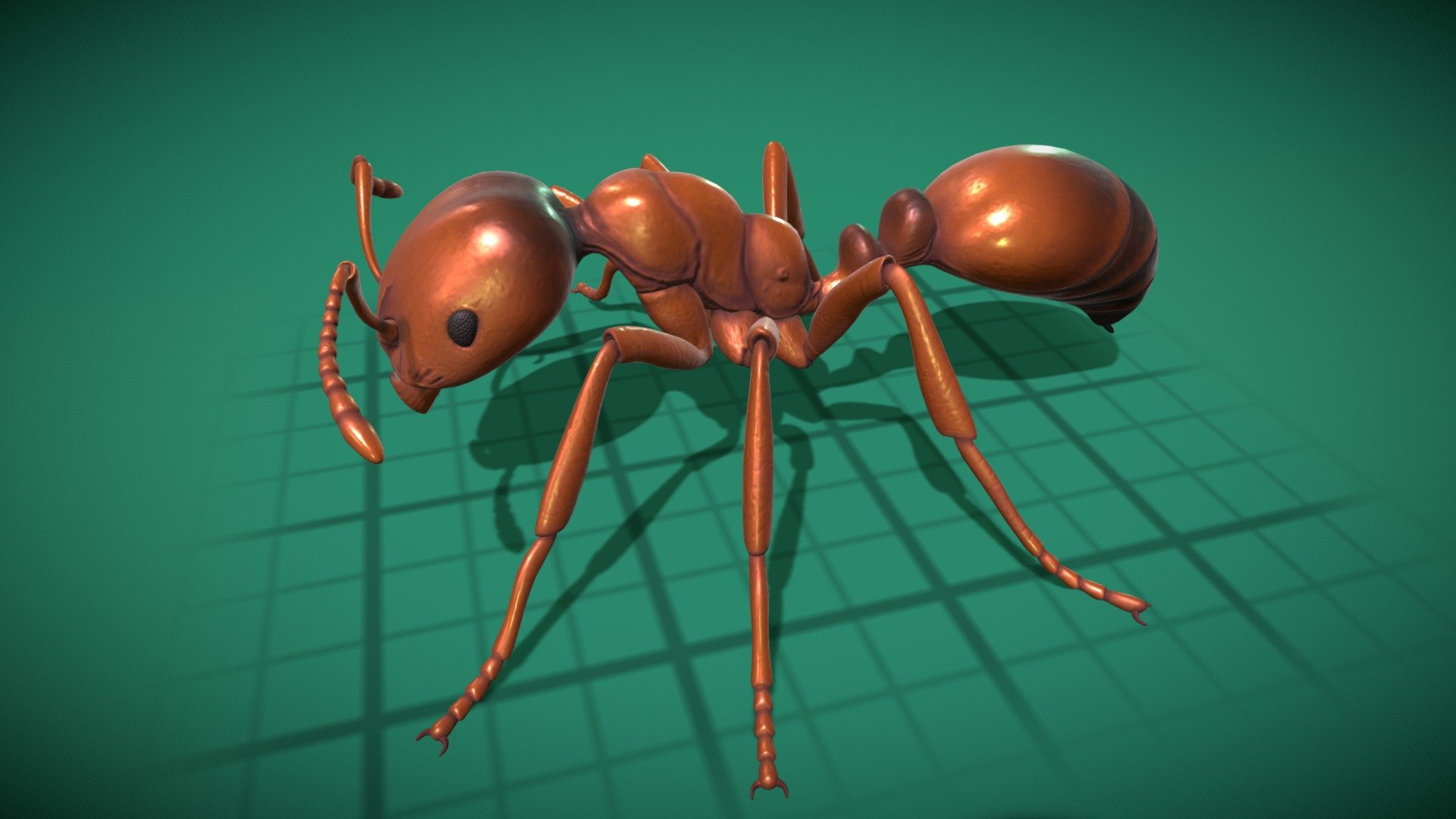 High qualty, accurate model of the Red imported fire ant (Solenopsis Invicta). 3D model is rigged for animation, UV mapped with 2K textures supplied. 

Some basic animations are included as NLA actions- idle, threaten, downward bite and walk 3d model