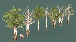 Tree Set trees, tree, forest, maple, oak, indie, hatchet, lumber, woods, forester, beech, character, handpainted, lowpoly, stylized, leaves